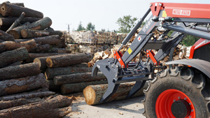 альтернативное название картинки