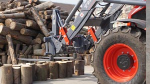 альтернативное название картинки