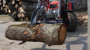 альтернативное название картинки