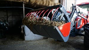 альтернативное название картинки