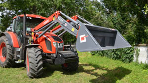 альтернативное название картинки