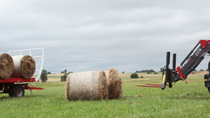 альтернативное название картинки