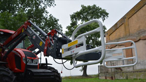 альтернативное название картинки