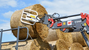 альтернативное название картинки