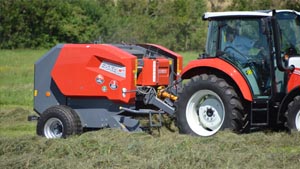 альтернативное название картинки