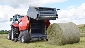 альтернативное название картинки