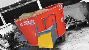 альтернативное название картинки