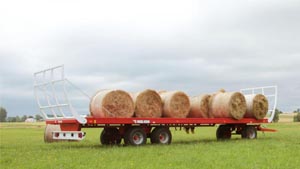 альтернативное название картинки