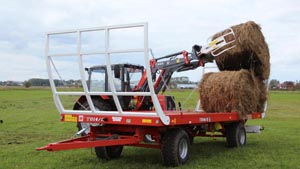 альтернативное название картинки