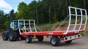 альтернативное название картинки