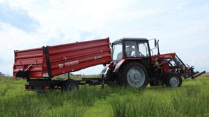 альтернативное название картинки