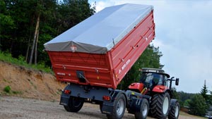 альтернативное название картинки