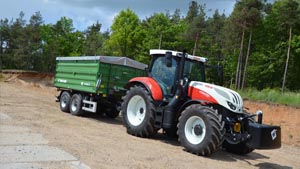 альтернативное название картинки