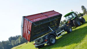 альтернативное название картинки